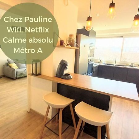 Magnifique Cocon - Metro A Republique - 2 Belles Chambres Avec Dressings - Wifi Gratuit - Netflix - Au Calme Absolu - Lumineux - Jardin Arbore Partage Dans La Residence فيليوربان المظهر الخارجي الصورة