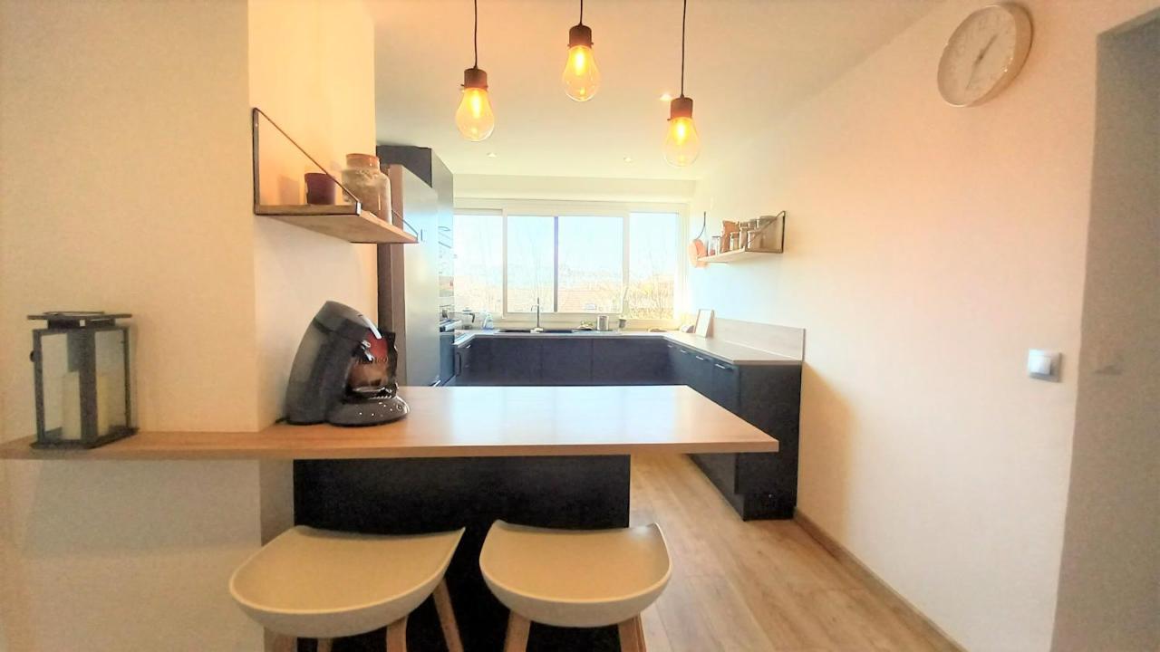 Magnifique Cocon - Metro A Republique - 2 Belles Chambres Avec Dressings - Wifi Gratuit - Netflix - Au Calme Absolu - Lumineux - Jardin Arbore Partage Dans La Residence فيليوربان المظهر الخارجي الصورة